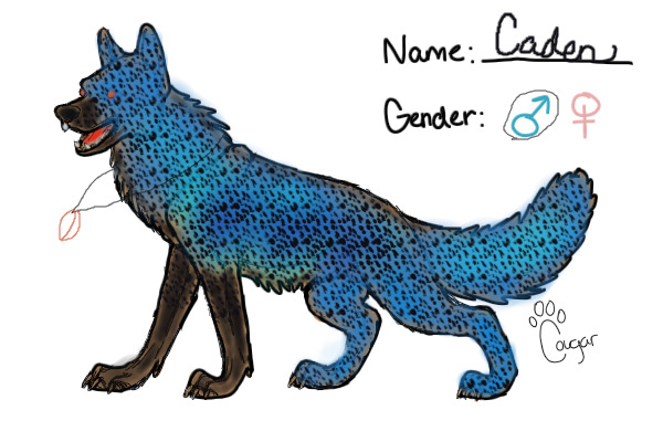 Caden