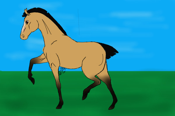 Dun Mare