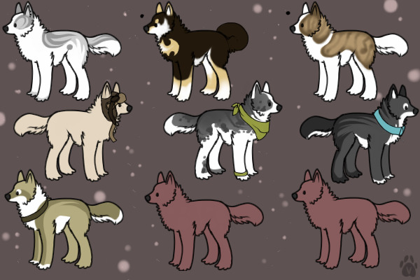 My Dog Characters