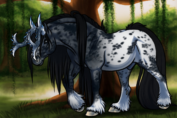 BK: Blue Roan Appaloosa blanket roan