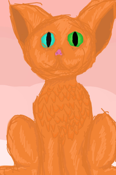 random cat