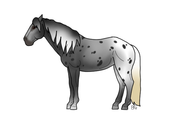 for white . horse