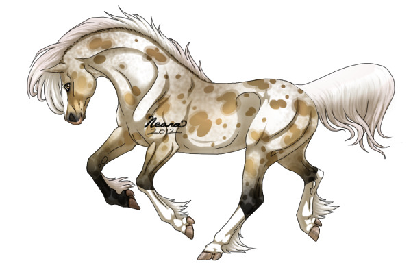 DAM Breeding: Silver Buckskin Near Leopard