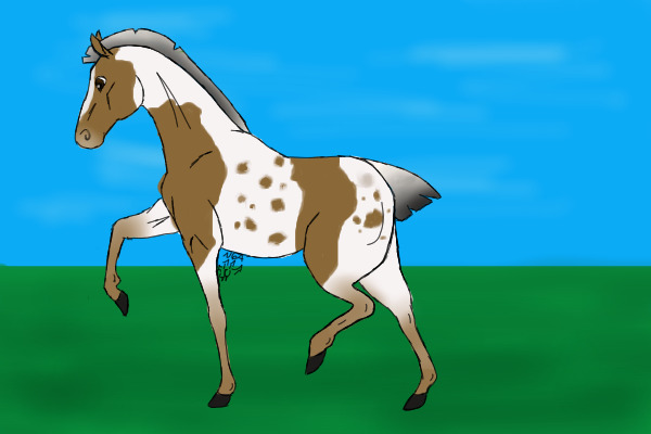 Marked for Greatness of Silver Spurs Stables