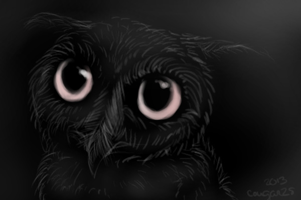 Owl Speedpaint Thingy