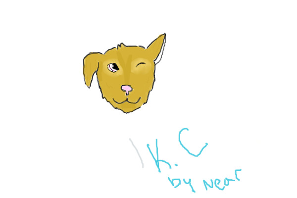 K.C(My dog)