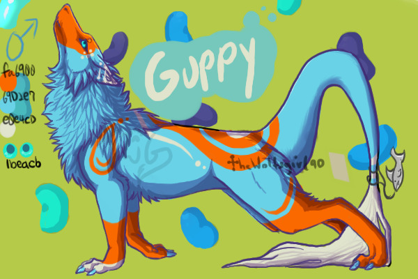 Guppy - ref! C: