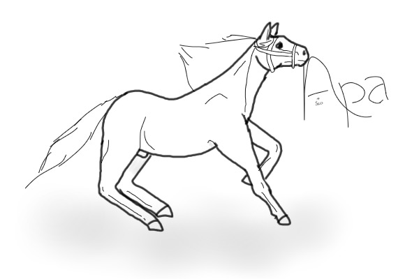 Horse x3