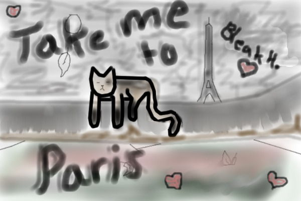 Take Me To Paris <3