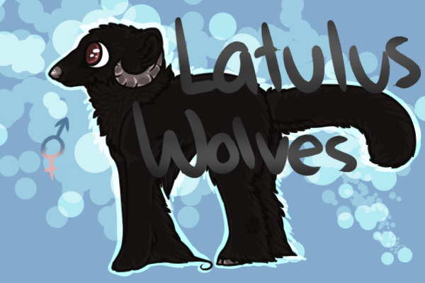 Latulus Wolves || open <33