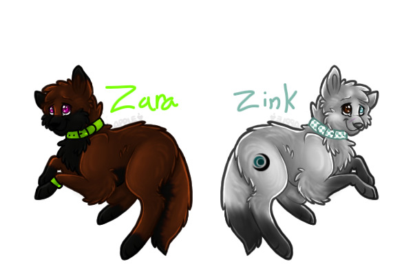 Zara and Zink