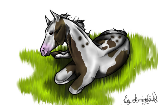 Awolnation's Colt