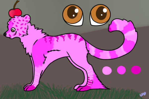 Contest Entry