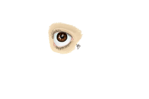 Eye