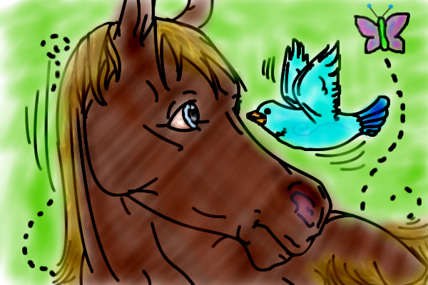 horse and birdy