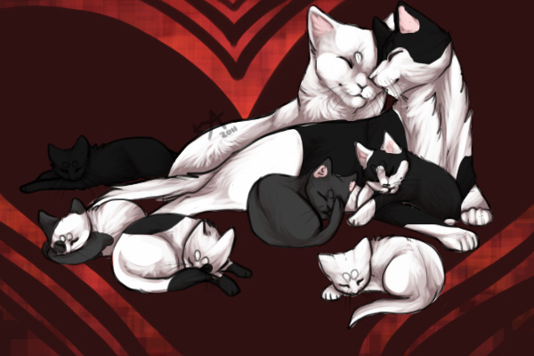 Mew - A Cat Family