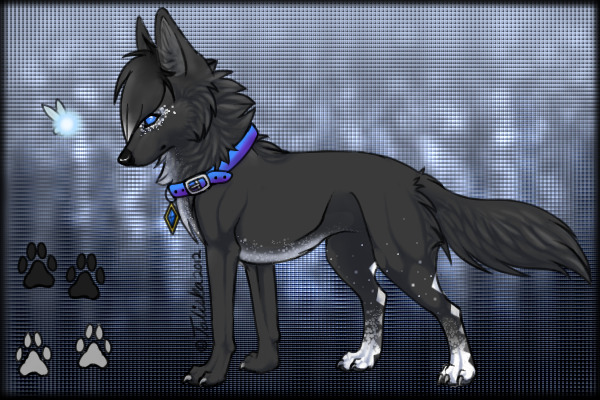 There is a 100% chance of this being an entry