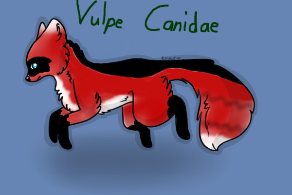 Vulpe Canidae Adoptables