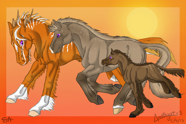 Whip Tail Equines gift lines <3