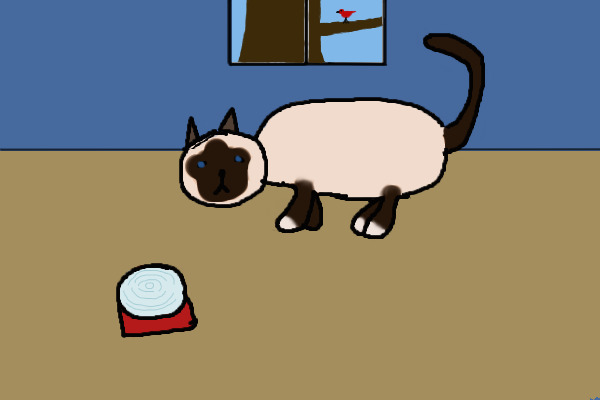 Ragdoll kitty