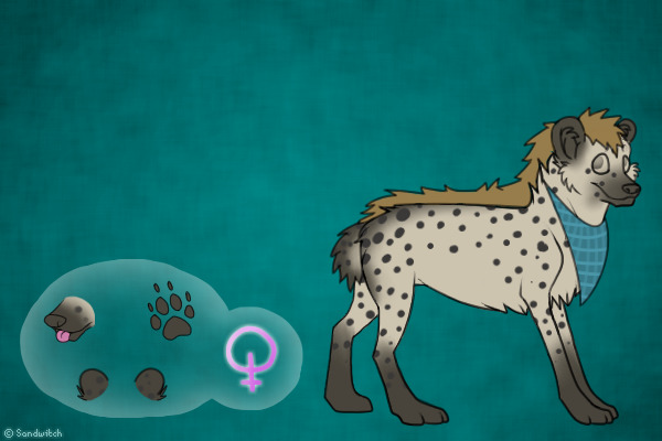 Hyena Character