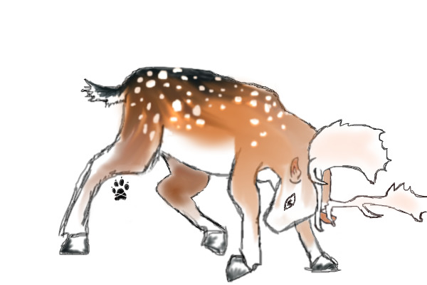 My Deer Lineart C:
