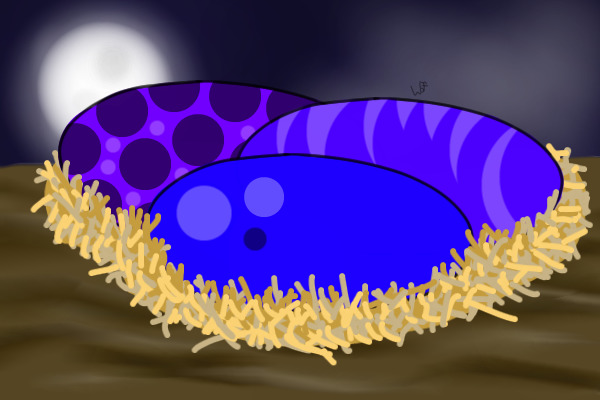 Blue-Violet Egg Batch