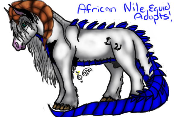 African Nile Equids V 2.0- OPEN FOR BUSINESS!!
