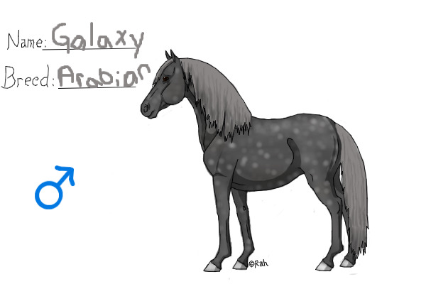 Horse drawing practice