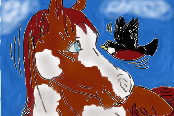 Paint horse With Robin
