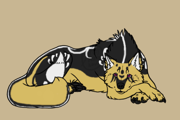 Synn: Laying