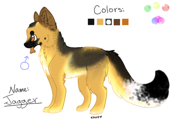 Jagger - Custom Rainbow Paint Wolf