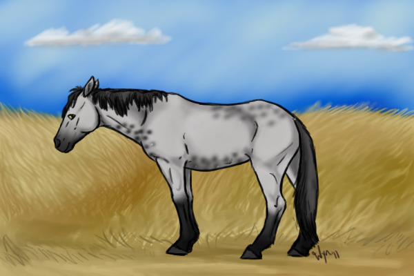 bad horse