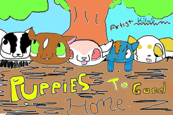 CS Puppies!