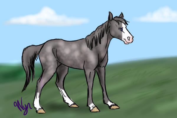 Dappled Grey Chromo
