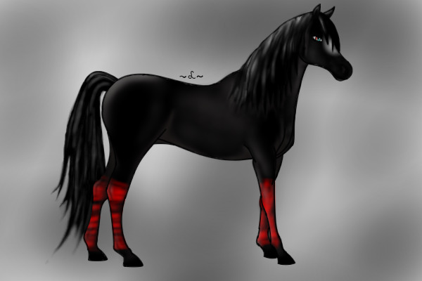 Colored in Horse