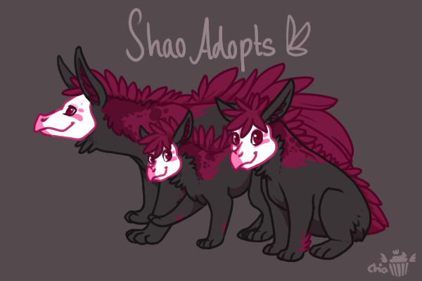 Shao Adoptables