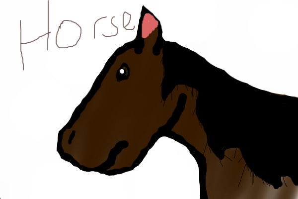 Horse!