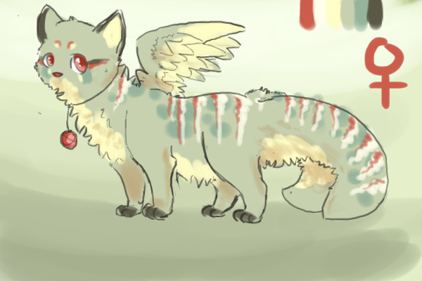 lin, my tobü cat c: