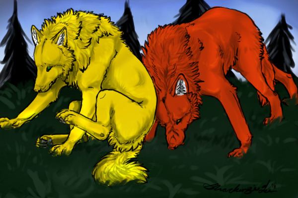 Blaze and Dorado
