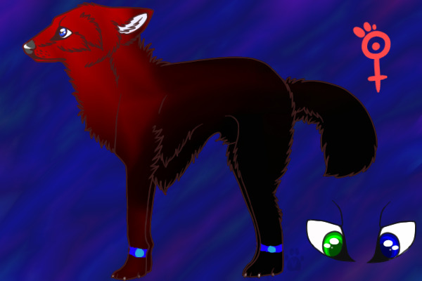 No name, any suggestions