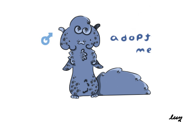 adopt me.