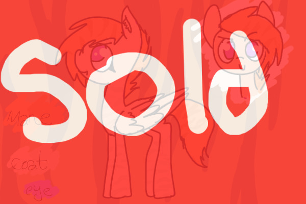 Pony #5