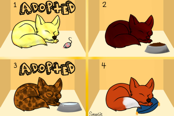 Little Foxys - Adopt us!