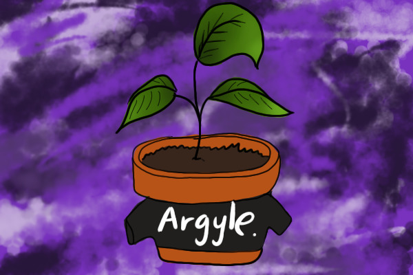 A simple potted plant wearing an argyle shirt.