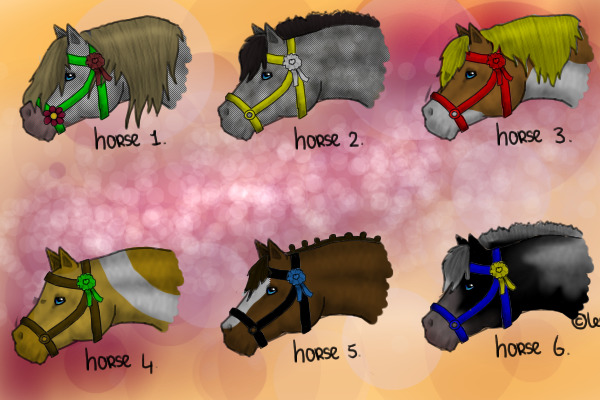 horse adoption(: