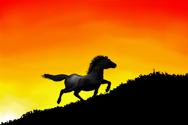 sunset pony