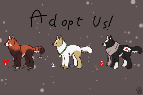 :3 Adopt Us !