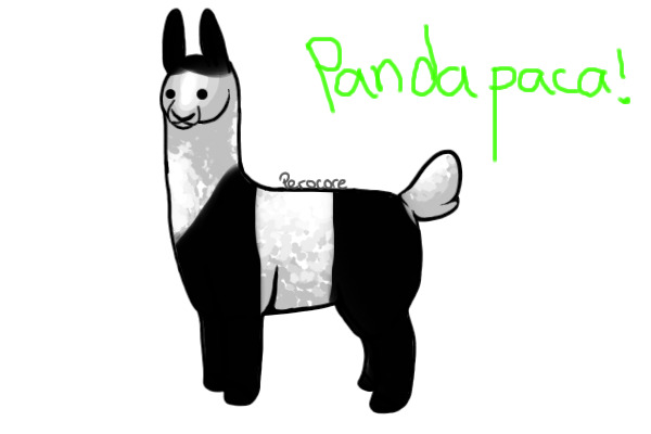 It's a..........Pandapaca!