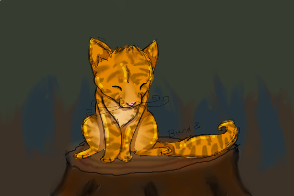 Orange kitty in a forest